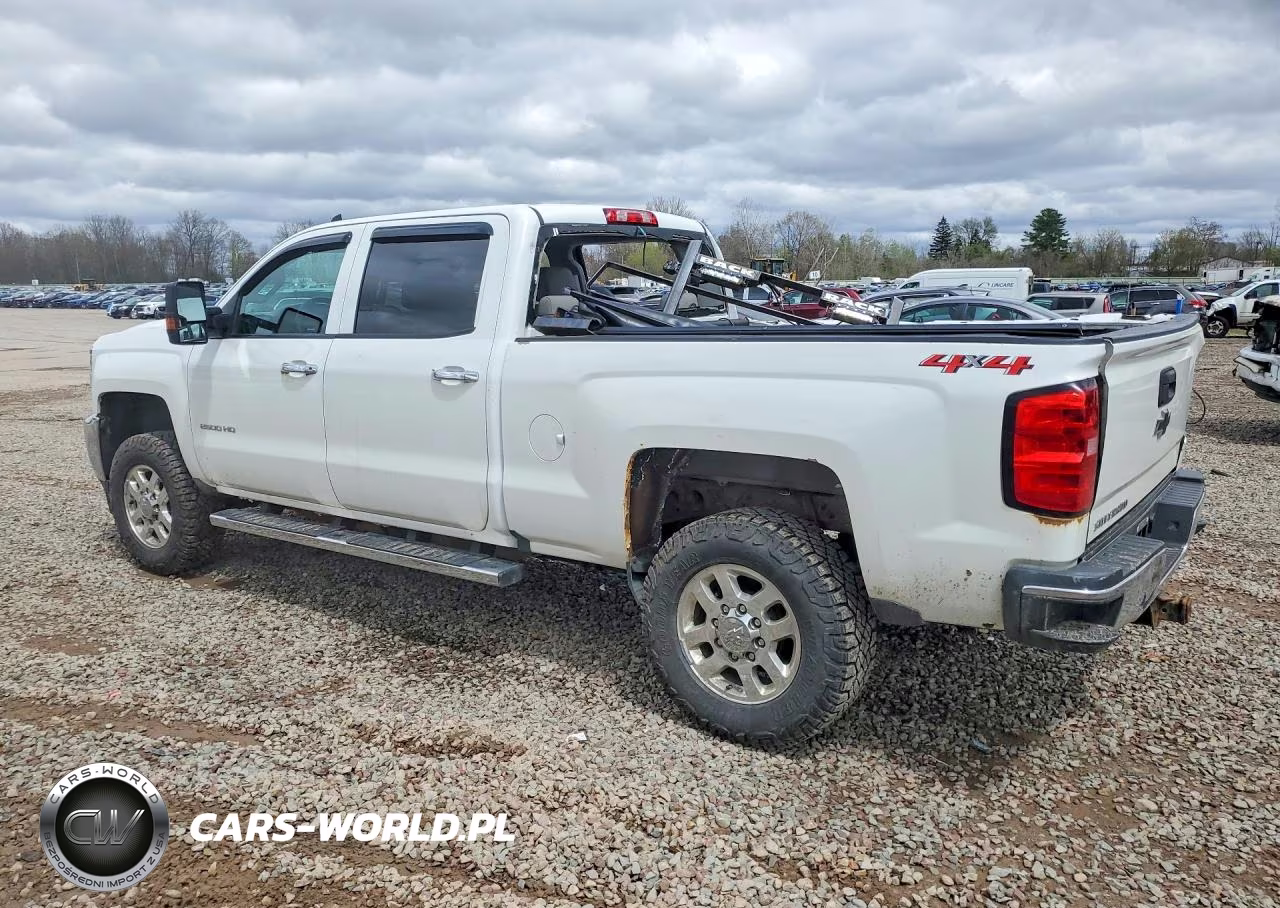 2019 Chevrolet Silverado K2500 Heavy Duty VIN:1GC1KREGXKF103824 - 2