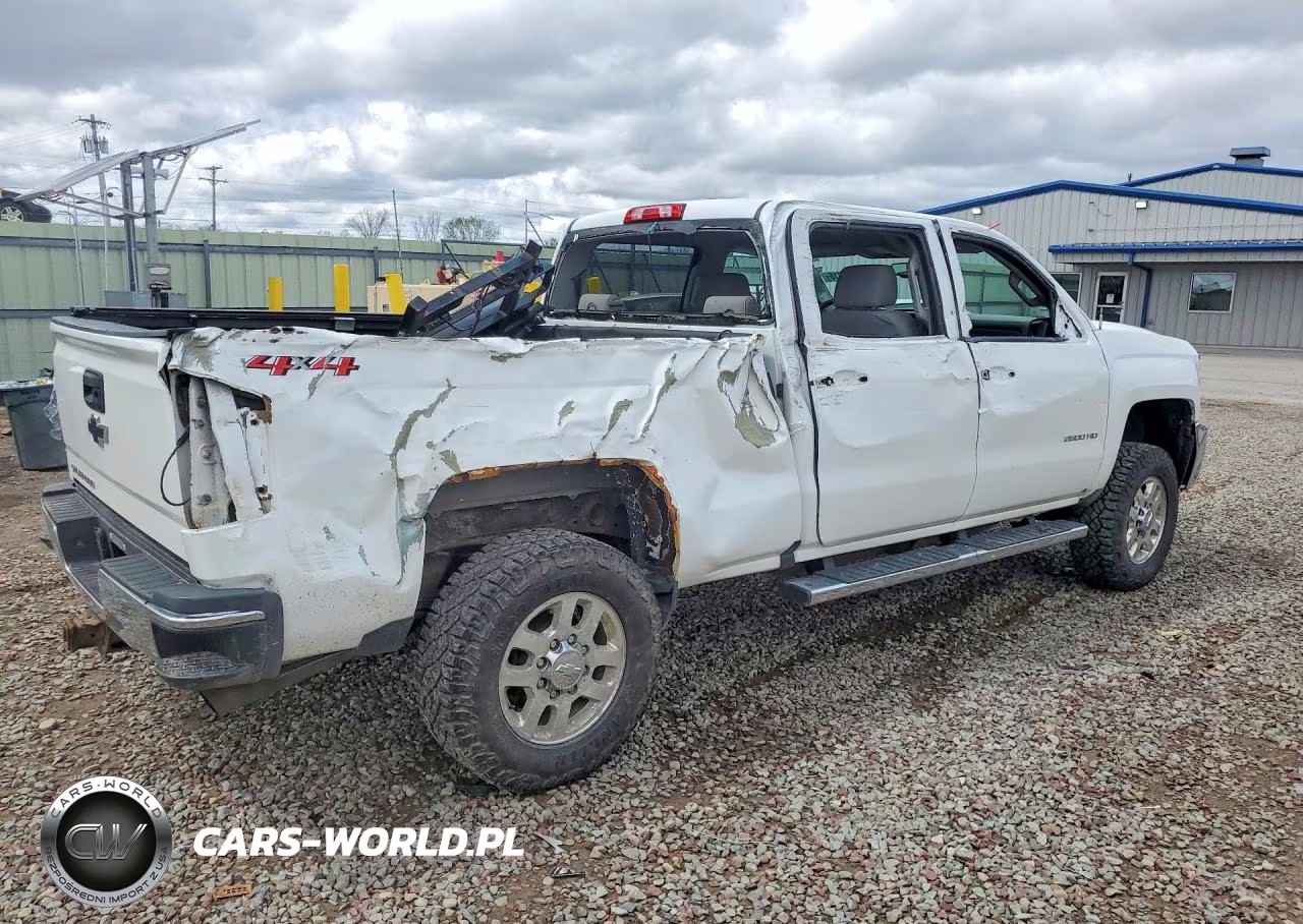 2019 Chevrolet Silverado K2500 Heavy Duty VIN:1GC1KREGXKF103824 - 3