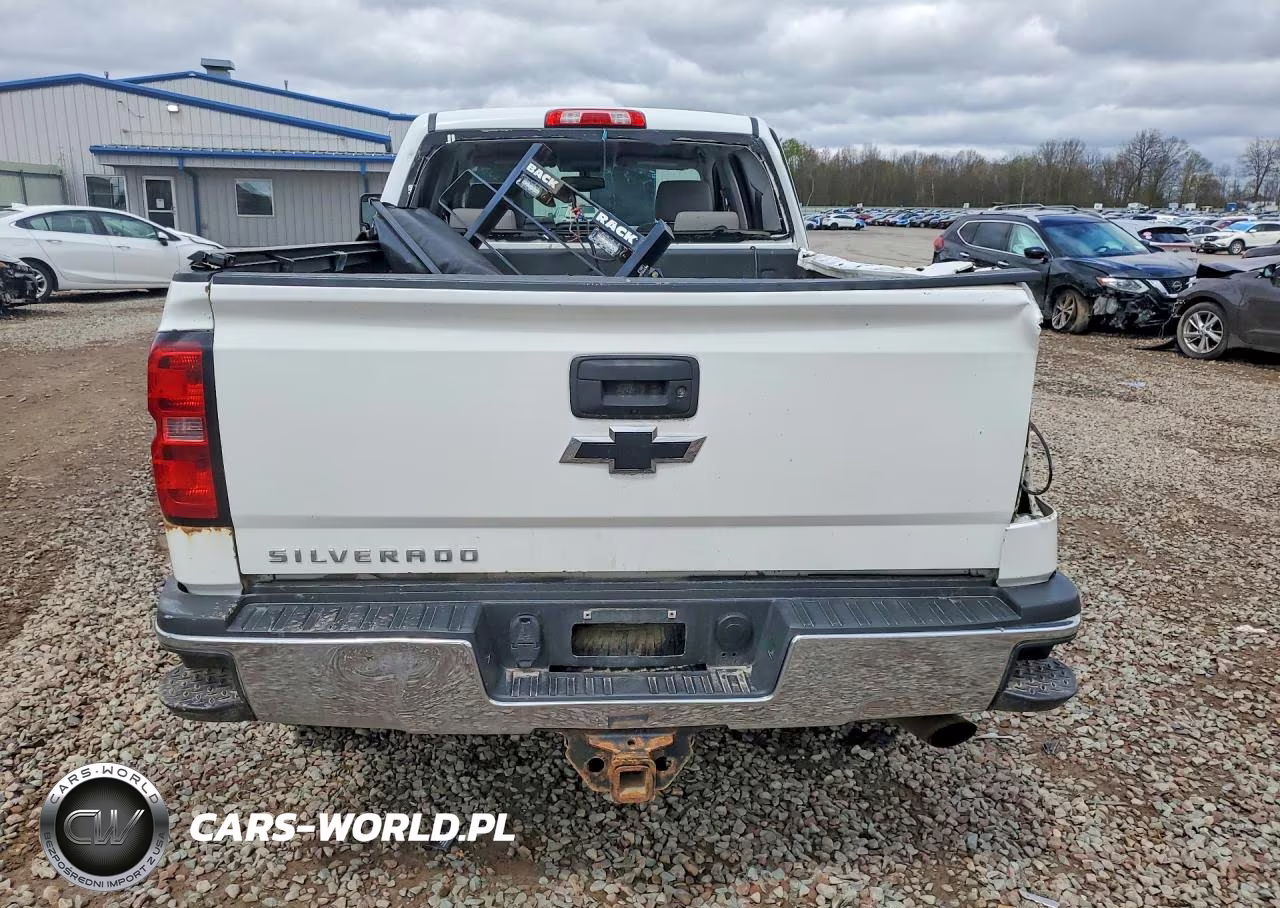 2019 Chevrolet Silverado K2500 Heavy Duty VIN:1GC1KREGXKF103824 - 6