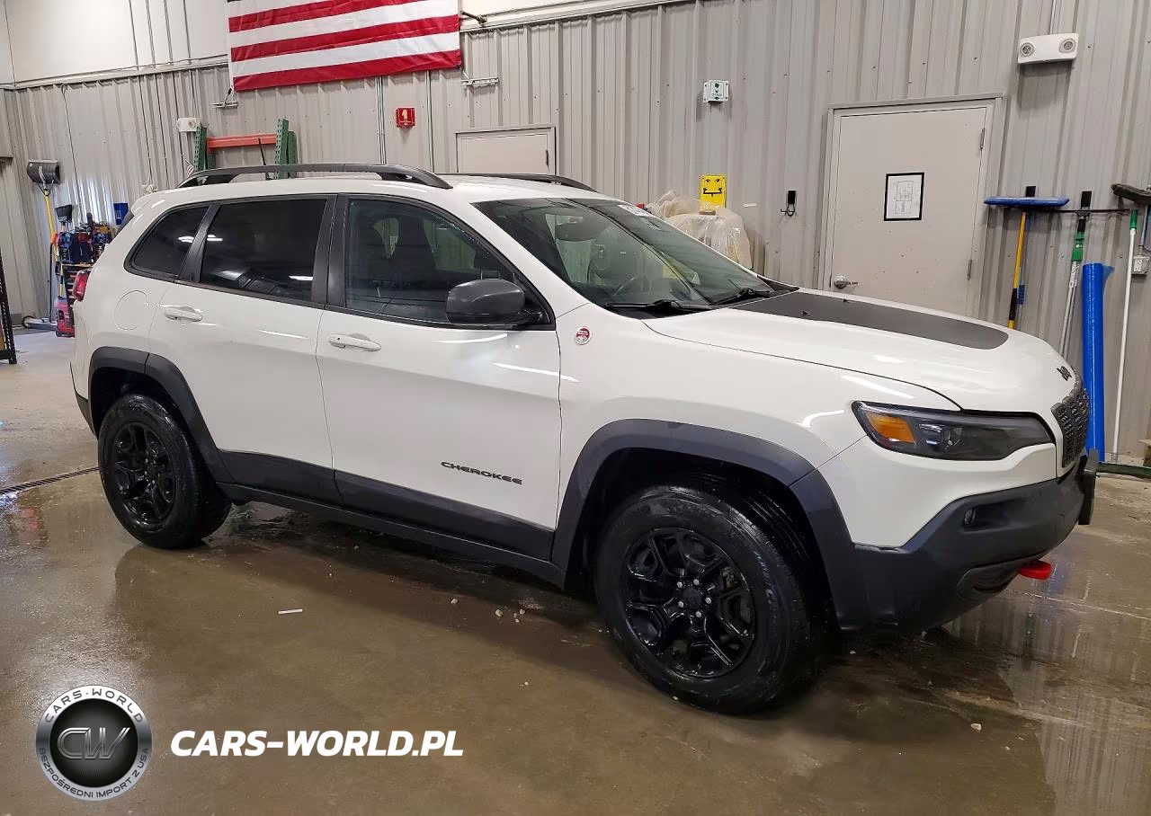 2019 Jeep Cherokee Trailhawk VIN:1C4PJMBX8KD118158 - 4
