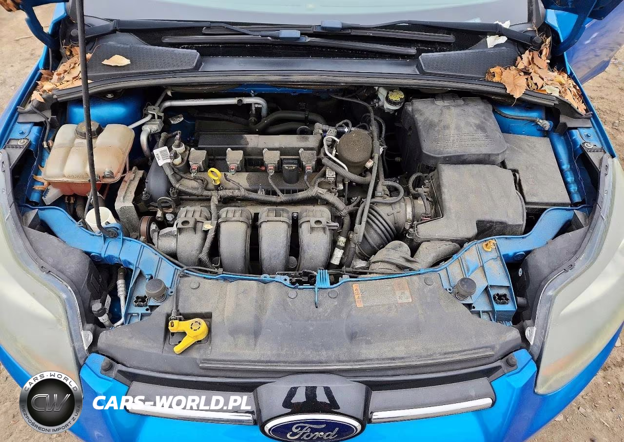 2014 Ford Focus Titanium VIN:1FADP3N2XEL458374 - 11