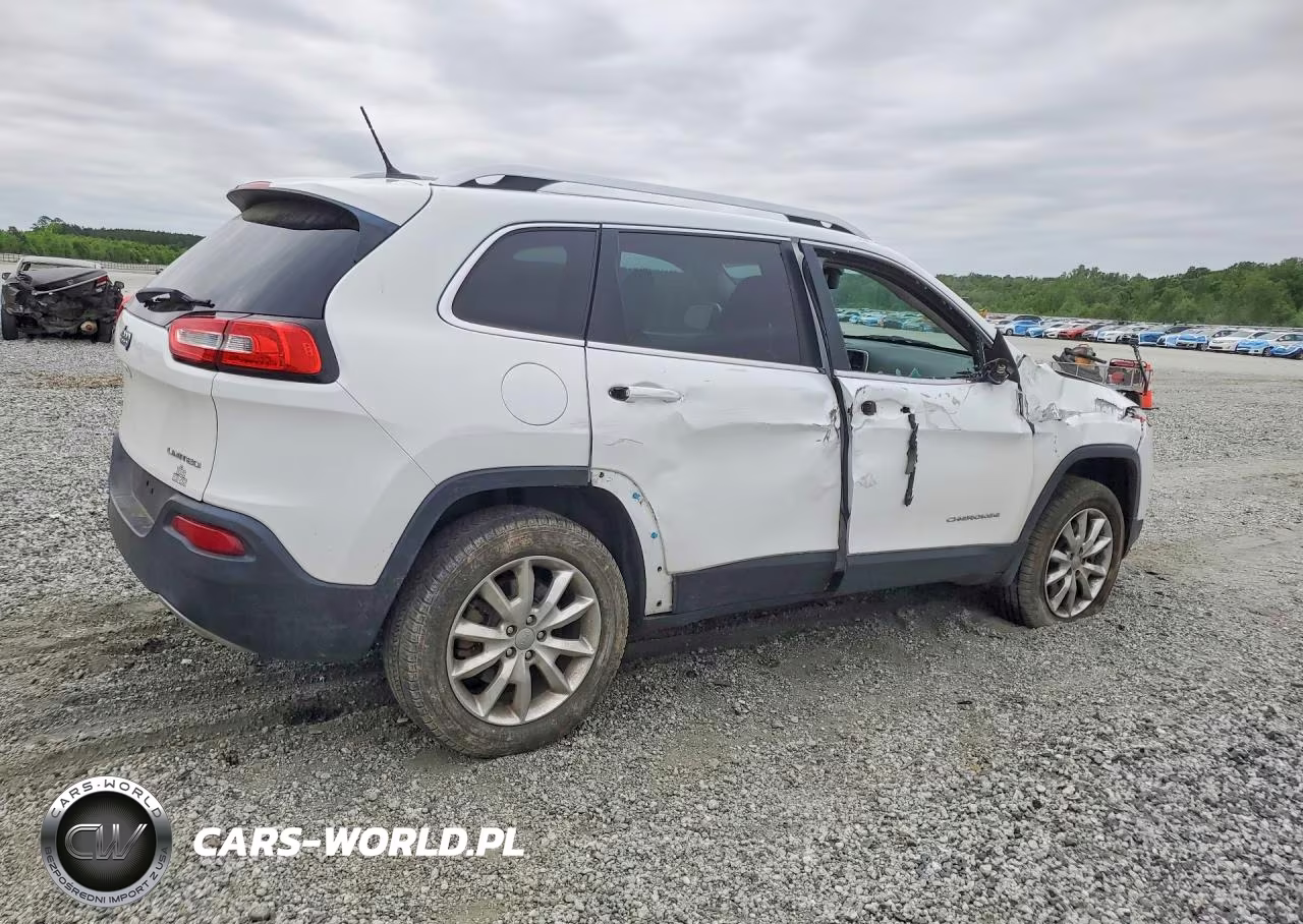 2014 Jeep Cherokee Limited VIN:1C4PJMDS0EW320096 - 3