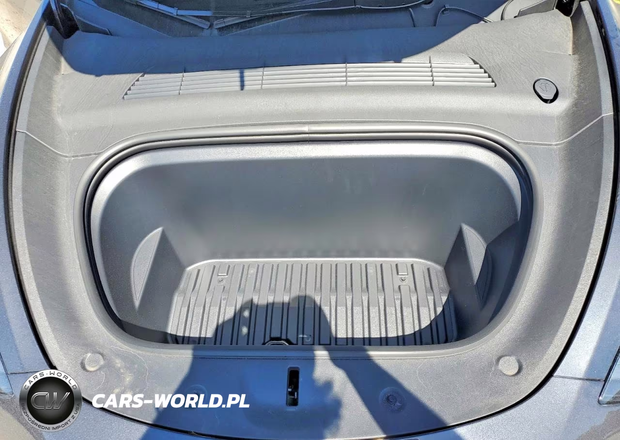 2024 Tesla Model Y VIN:7SAYGDEE0RA236186 - 11