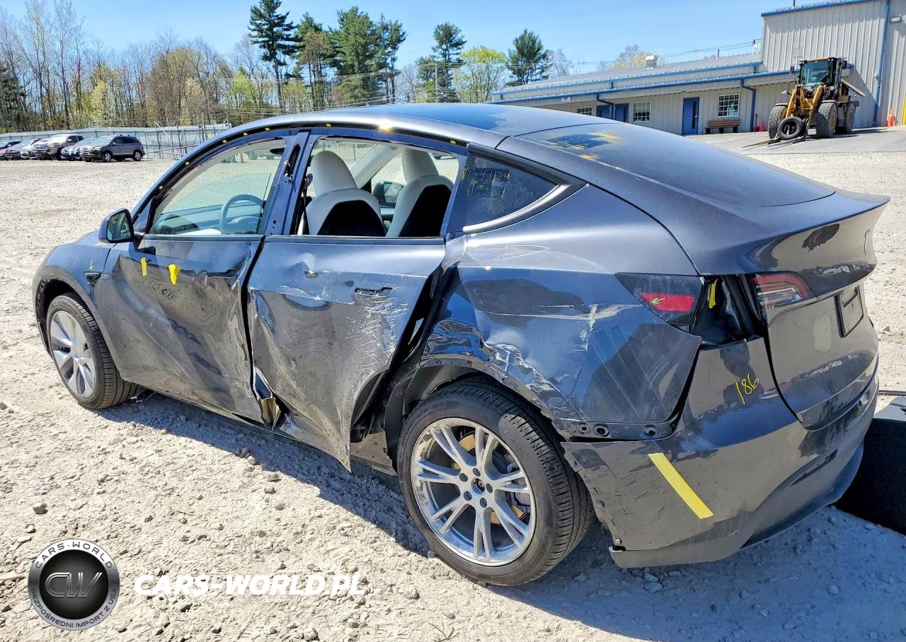 2024 Tesla Model Y VIN:7SAYGDEE0RA236186 - 2