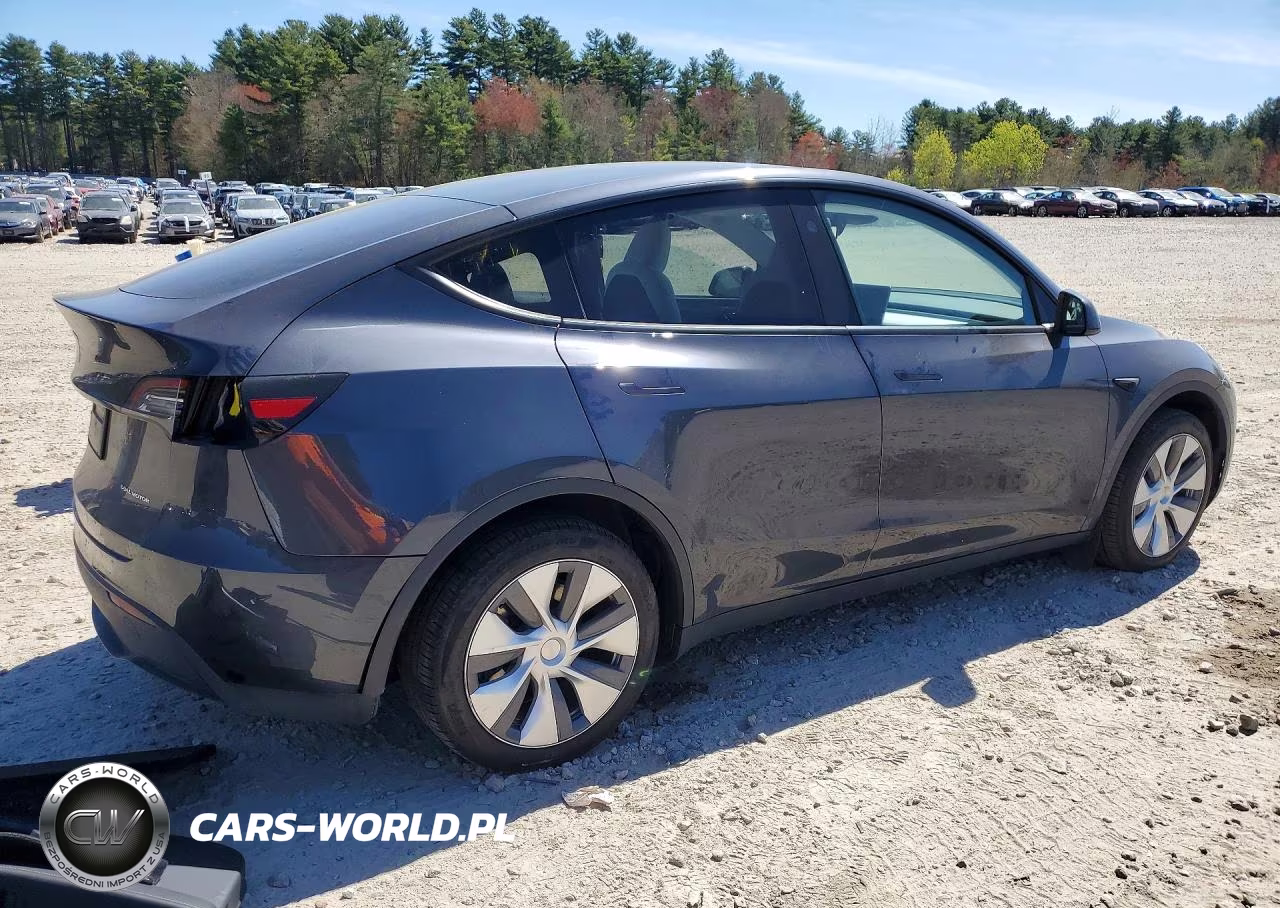 2024 Tesla Model Y VIN:7SAYGDEE0RA236186 - 3