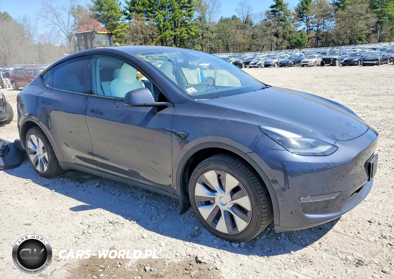 2024 Tesla Model Y VIN:7SAYGDEE0RA236186 - 4