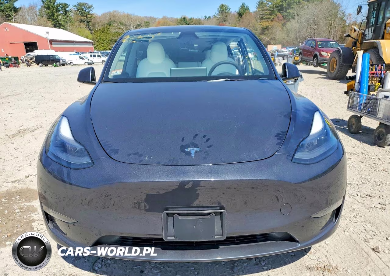 2024 Tesla Model Y VIN:7SAYGDEE0RA236186 - 5