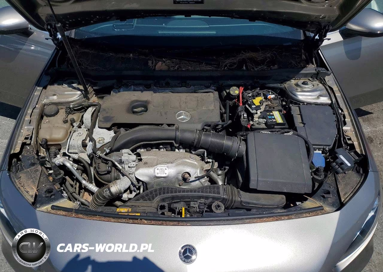 2019 Mercedes-Benz A 220 4Matic VIN:WDD3G4FB0KW007013 - 11