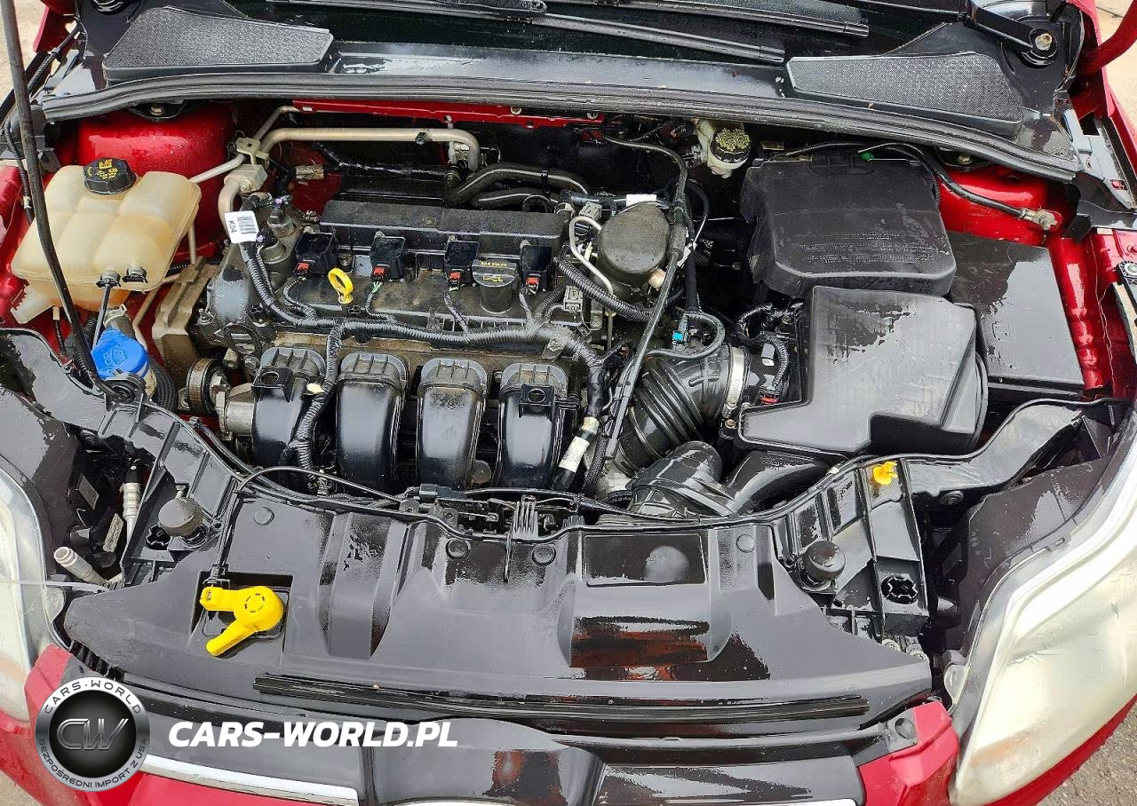 2014 Ford Focus Se VIN:1FADP3F23EL335482 - 11