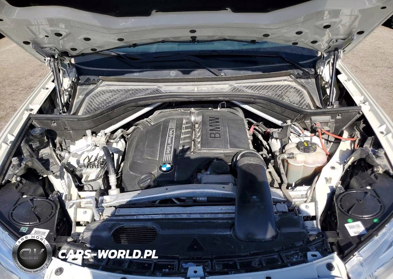 2019 BMW X6 Sdrive35I VIN:5UXKU0C52K0S97665 - 12