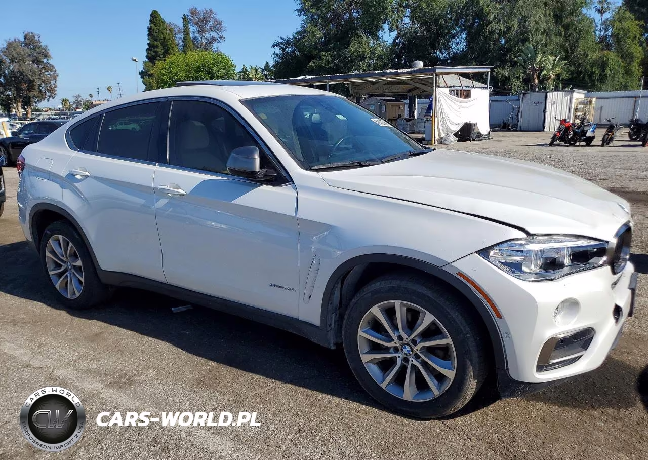 2019 BMW X6 Sdrive35I VIN:5UXKU0C52K0S97665 - 4
