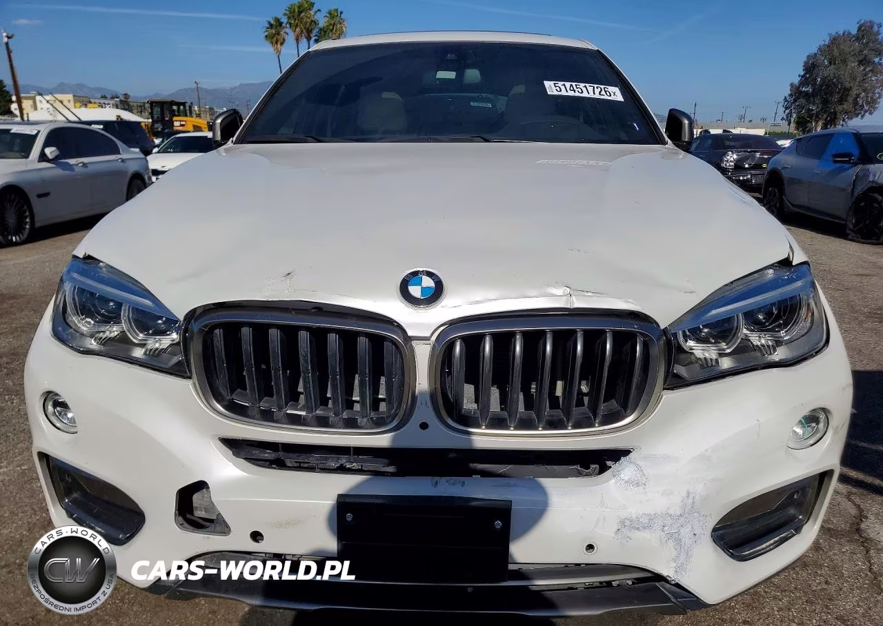 2019 BMW X6 Sdrive35I VIN:5UXKU0C52K0S97665 - 5