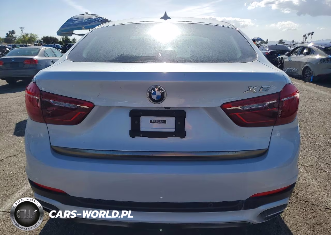 2019 BMW X6 Sdrive35I VIN:5UXKU0C52K0S97665 - 6