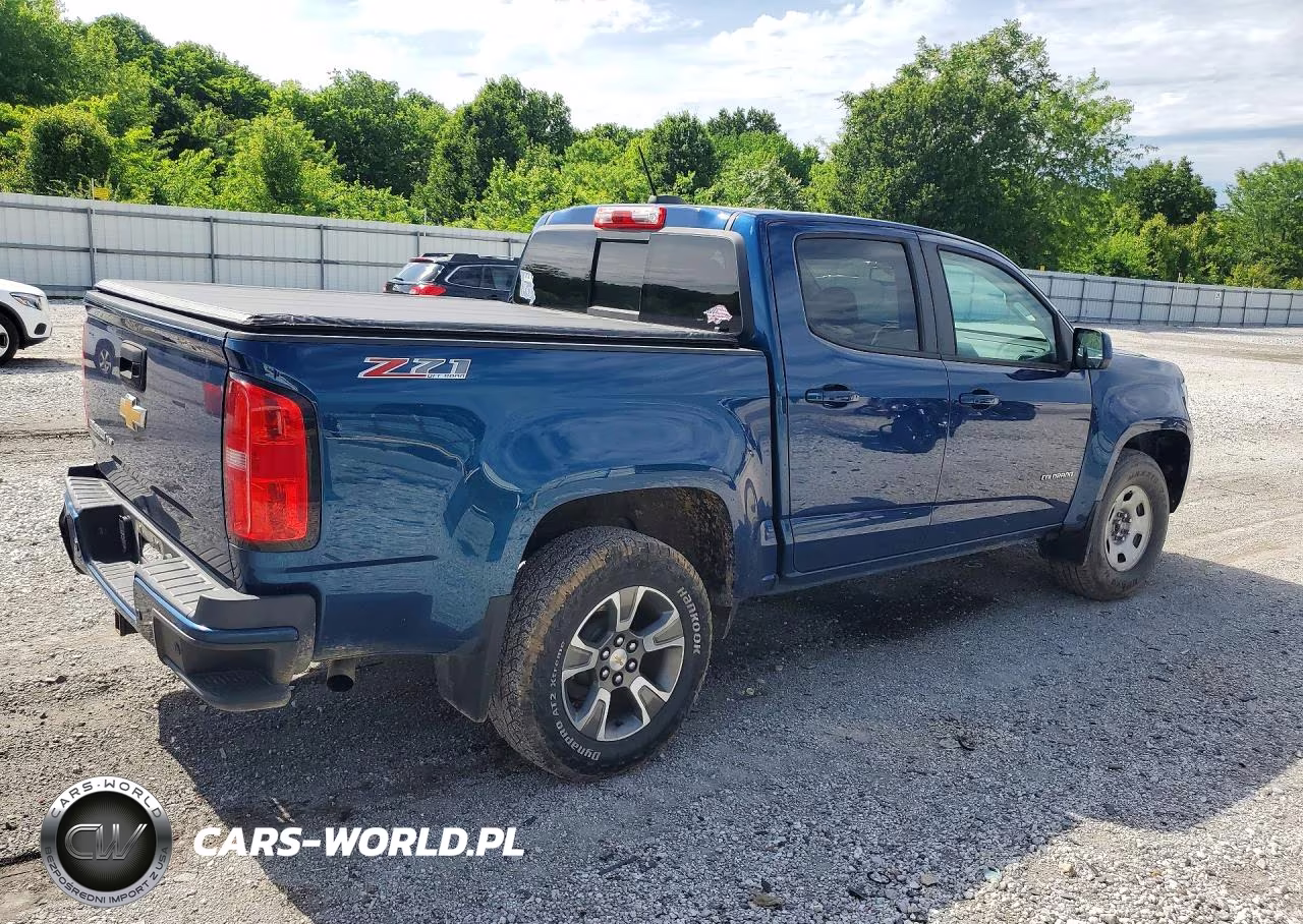 2019 Chevrolet Colorado Z71 VIN:1GCGTDEN0K1124753 - 3