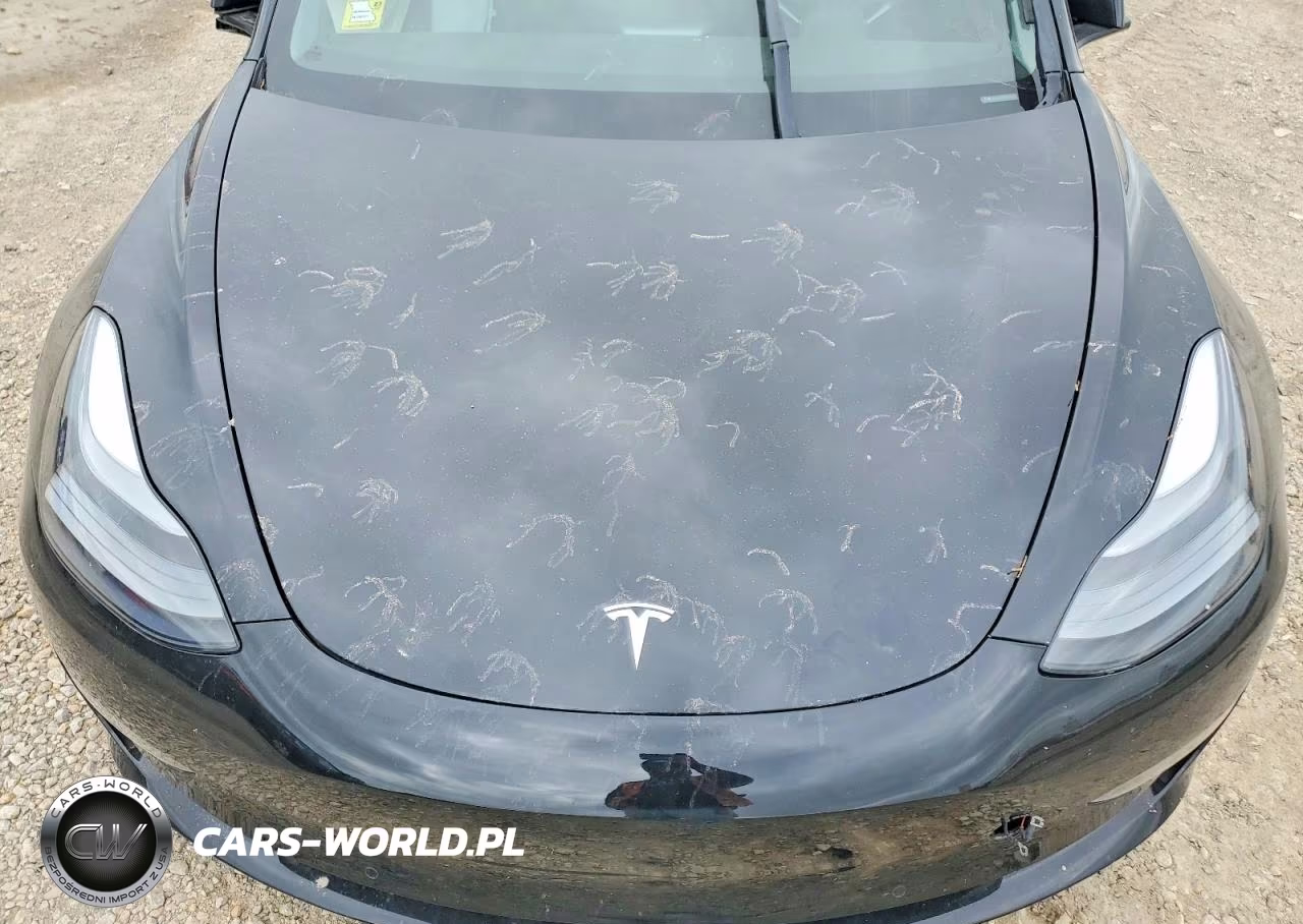 2022 Tesla Model 3 VIN:5YJ3E1EB2NF203544 - 11