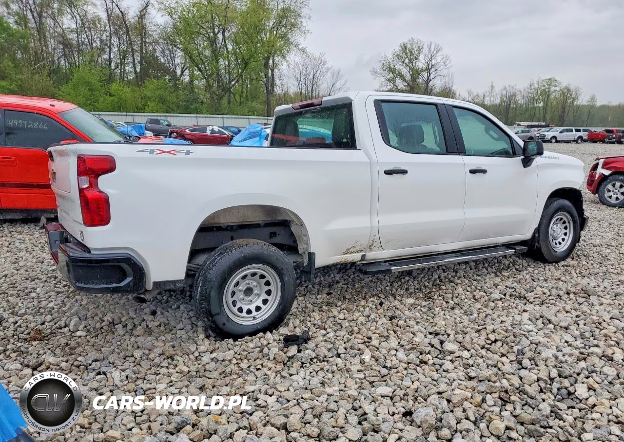 2025 Chevrolet Silverado K1500 VIN:1GCPKAEK1SZ190141 - 3