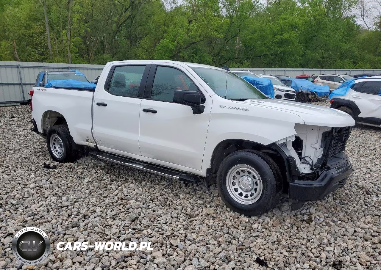 2025 Chevrolet Silverado K1500 VIN:1GCPKAEK1SZ190141 - 4