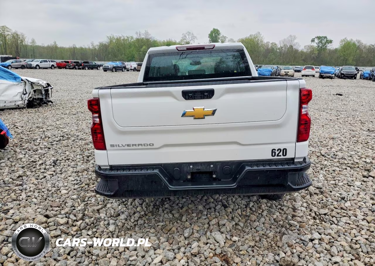 2025 Chevrolet Silverado K1500 VIN:1GCPKAEK1SZ190141 - 6