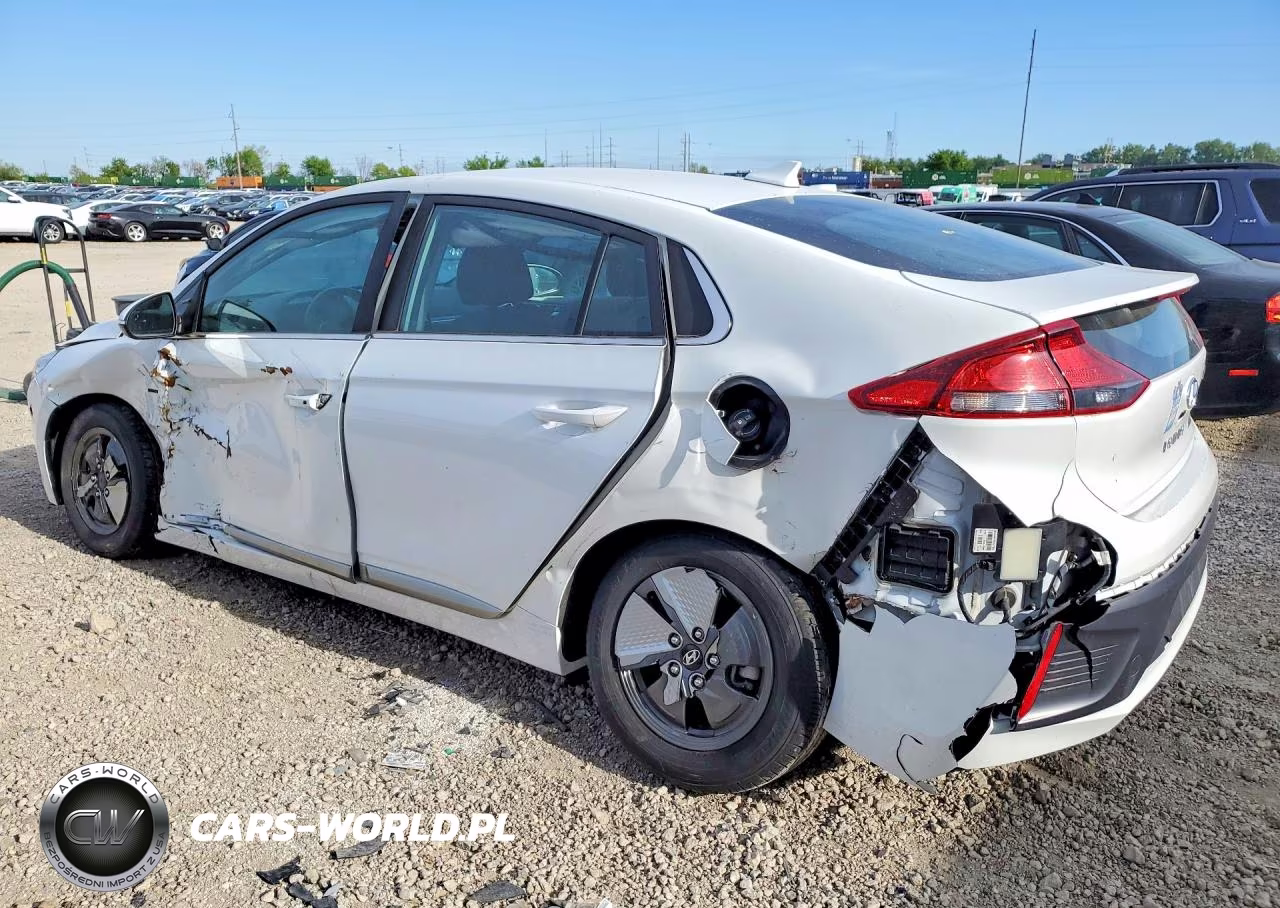 2020 Hyundai Ioniq Se VIN:KMHC75LC6LU234096 - 2