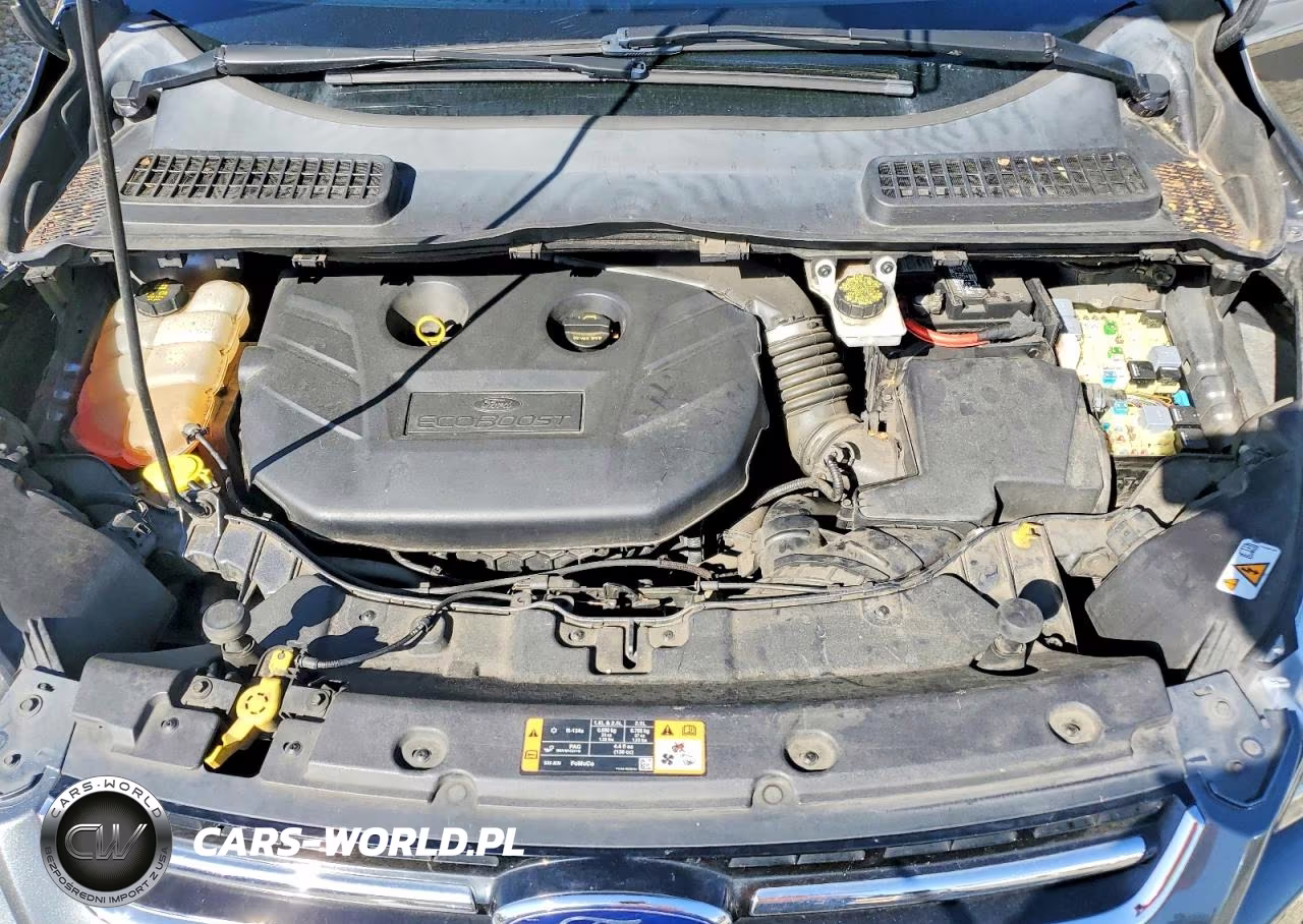 2014 Ford Escape Titanium VIN:1FMCU0J99EUE14064 - 12