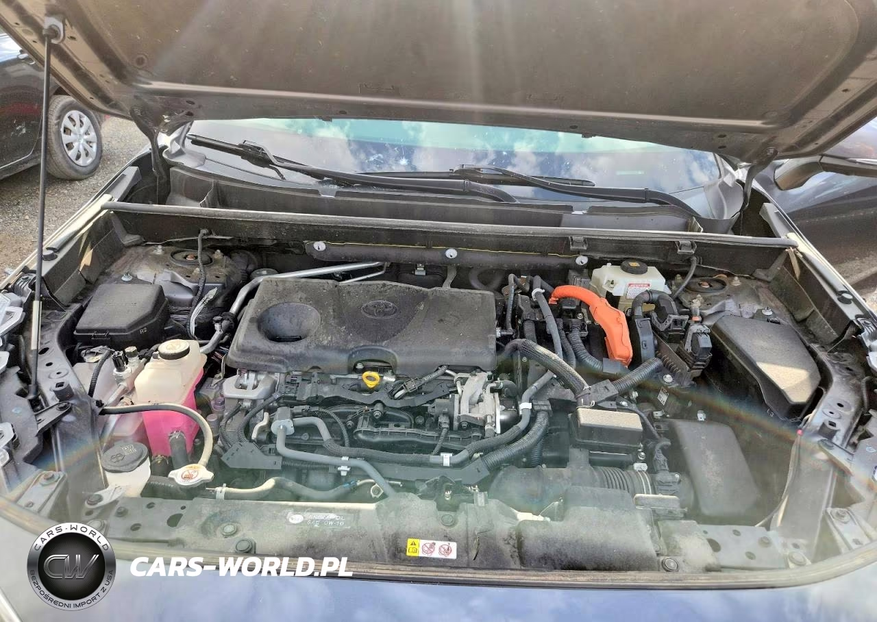 2019 Toyota Rav4 Limited VIN:JTMDWRFV8KD503035 - 12