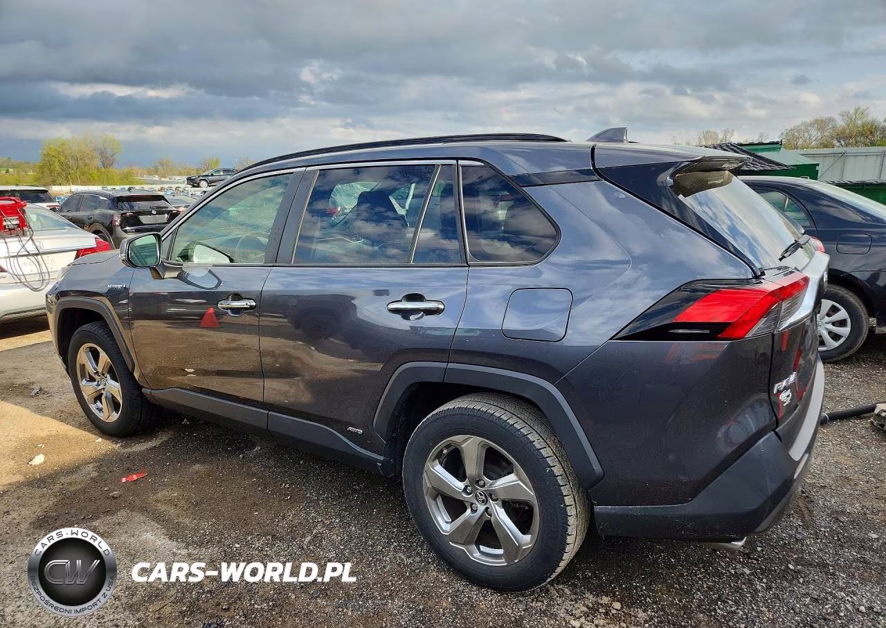 2019 Toyota Rav4 Limited VIN:JTMDWRFV8KD503035 - 2