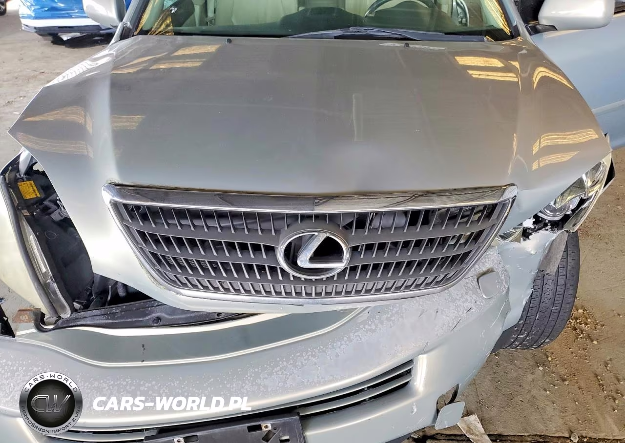 2006 Lexus Rx 400 VIN:JTJGW31U060004765 - 12