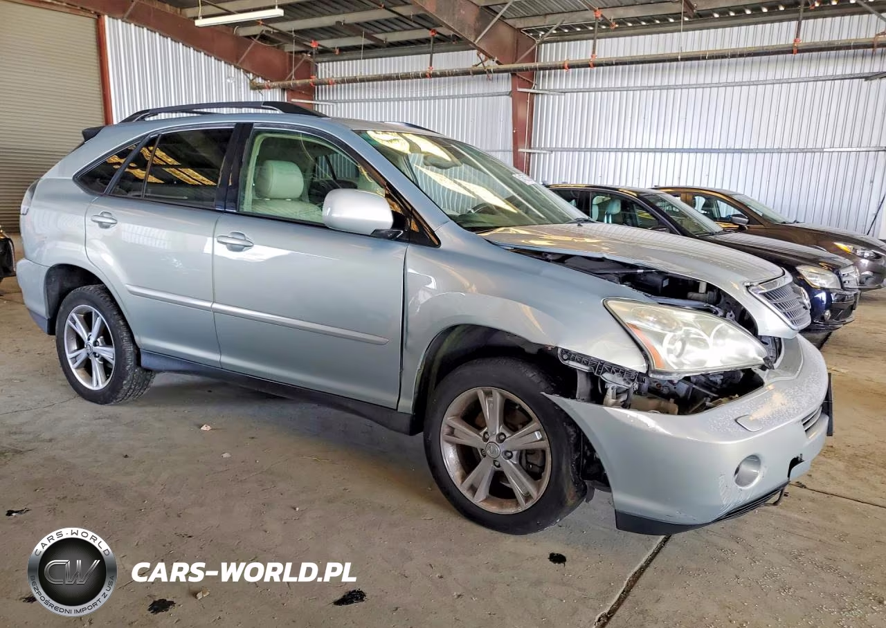 2006 Lexus Rx 400 VIN:JTJGW31U060004765 - 4
