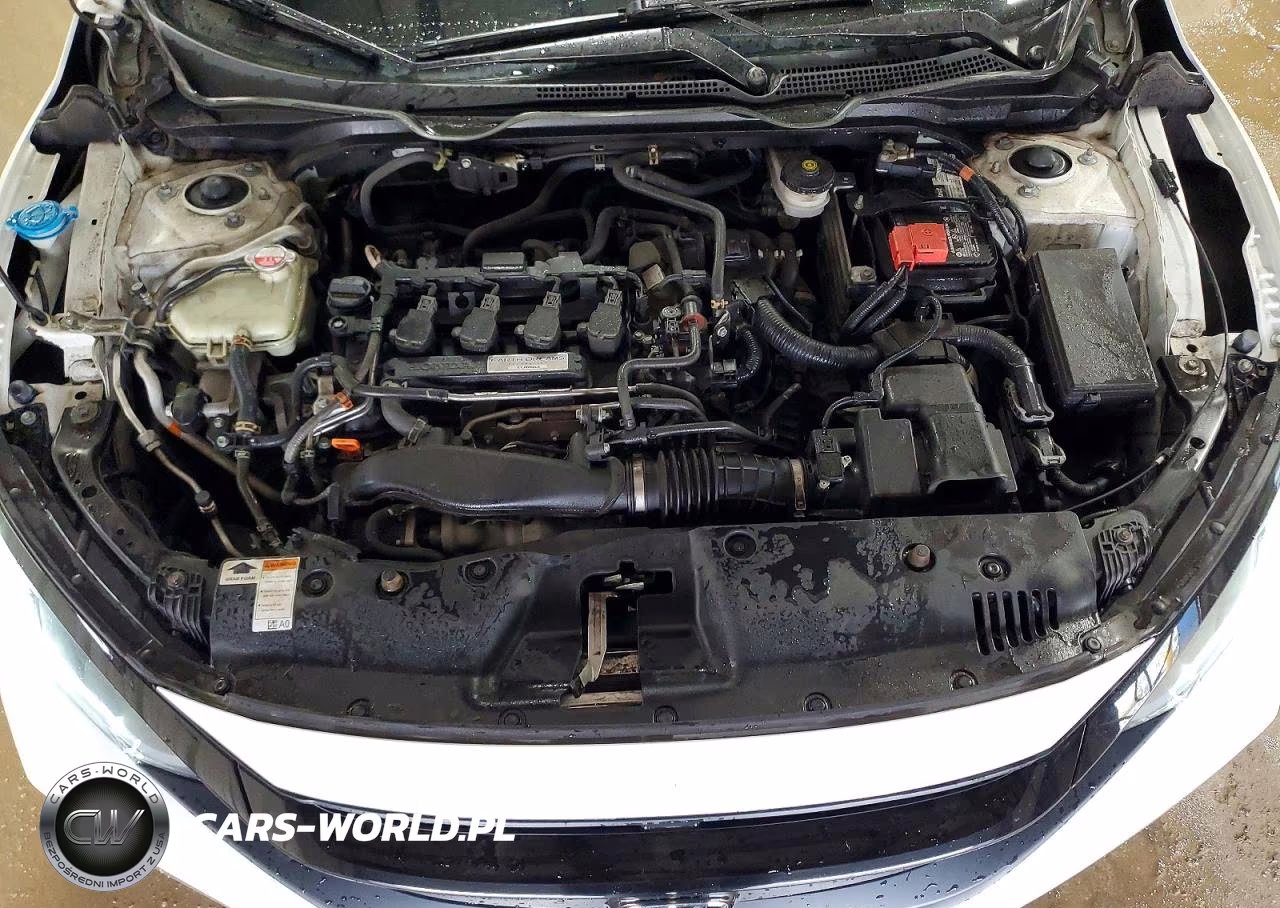 2020 Honda Civic Ex VIN:19XFC1F39LE013253 - 11