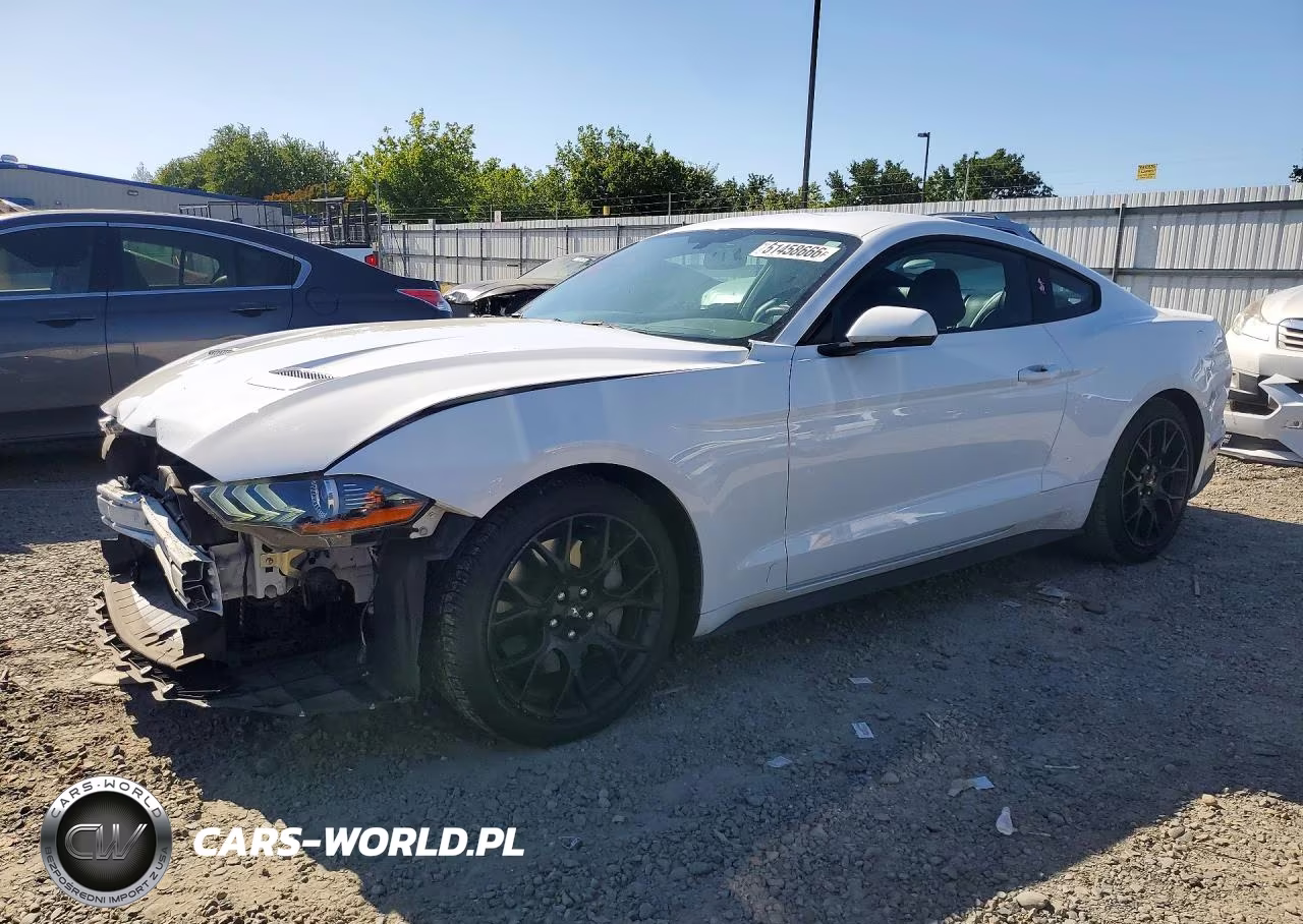 2019 Ford Mustang