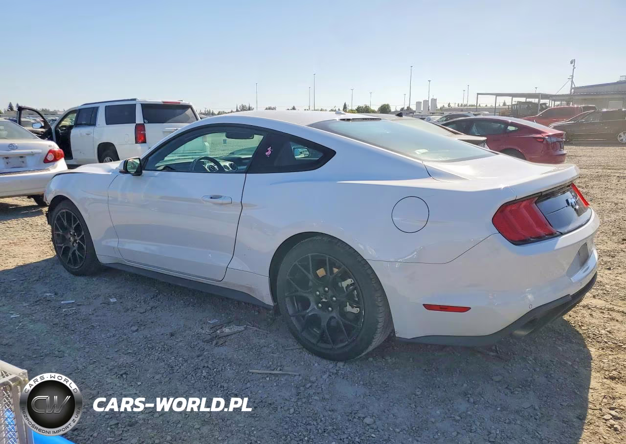 2019 Ford Mustang VIN:1FA6P8THXK5189841 - 2