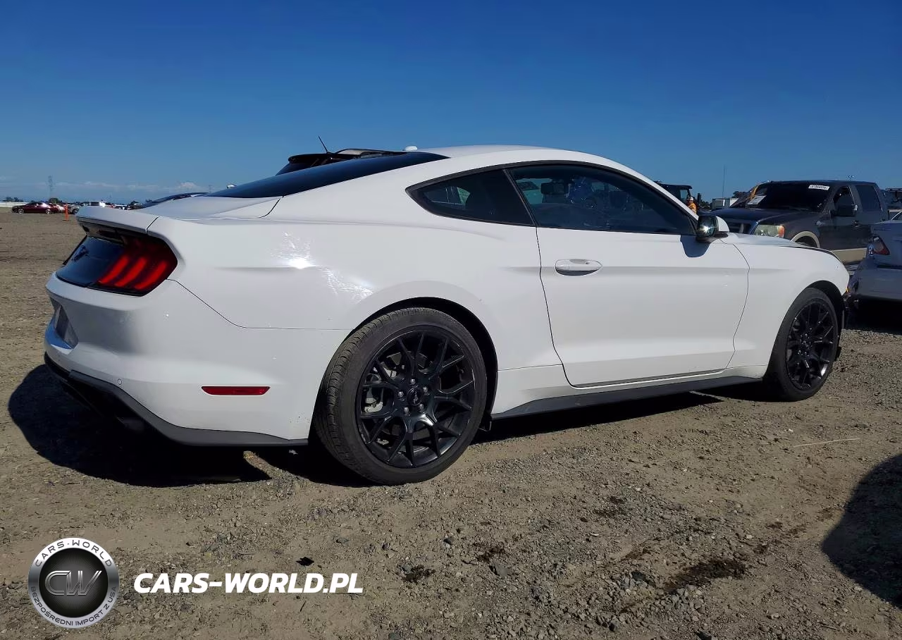 2019 Ford Mustang VIN:1FA6P8THXK5189841 - 3