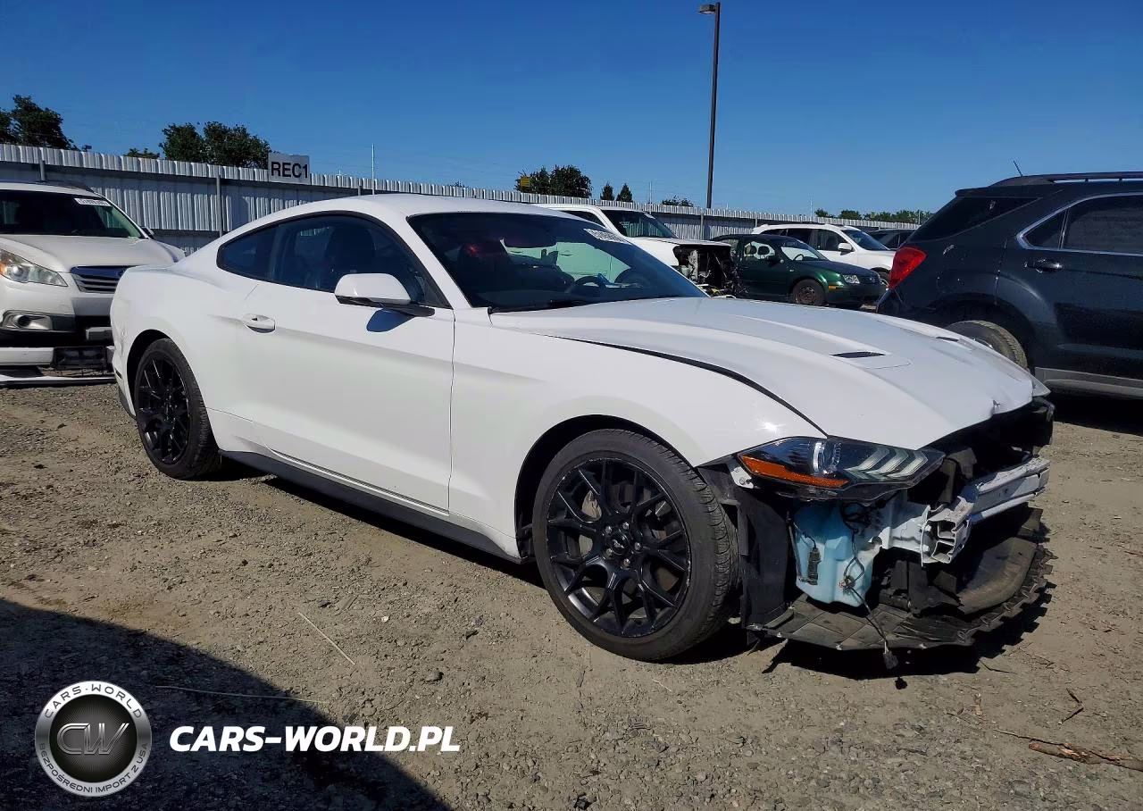 2019 Ford Mustang VIN:1FA6P8THXK5189841 - 4