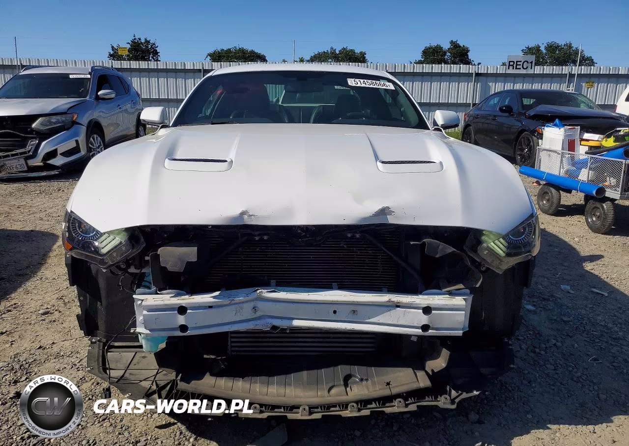 2019 Ford Mustang VIN:1FA6P8THXK5189841 - 5