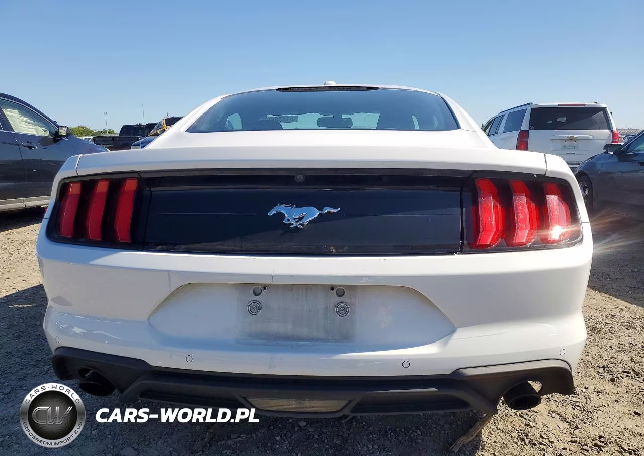 2019 Ford Mustang VIN:1FA6P8THXK5189841 - 6