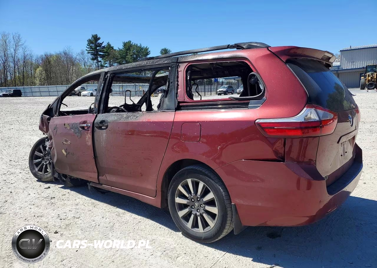 2018 Toyota Sienna Xle 7-Passenger VIN:5TDDZ3DC8JS209028 - 2