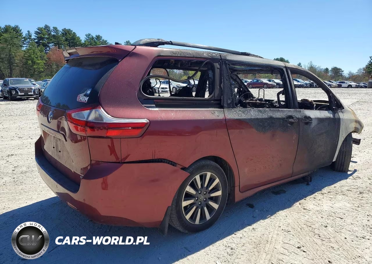 2018 Toyota Sienna Xle 7-Passenger VIN:5TDDZ3DC8JS209028 - 3