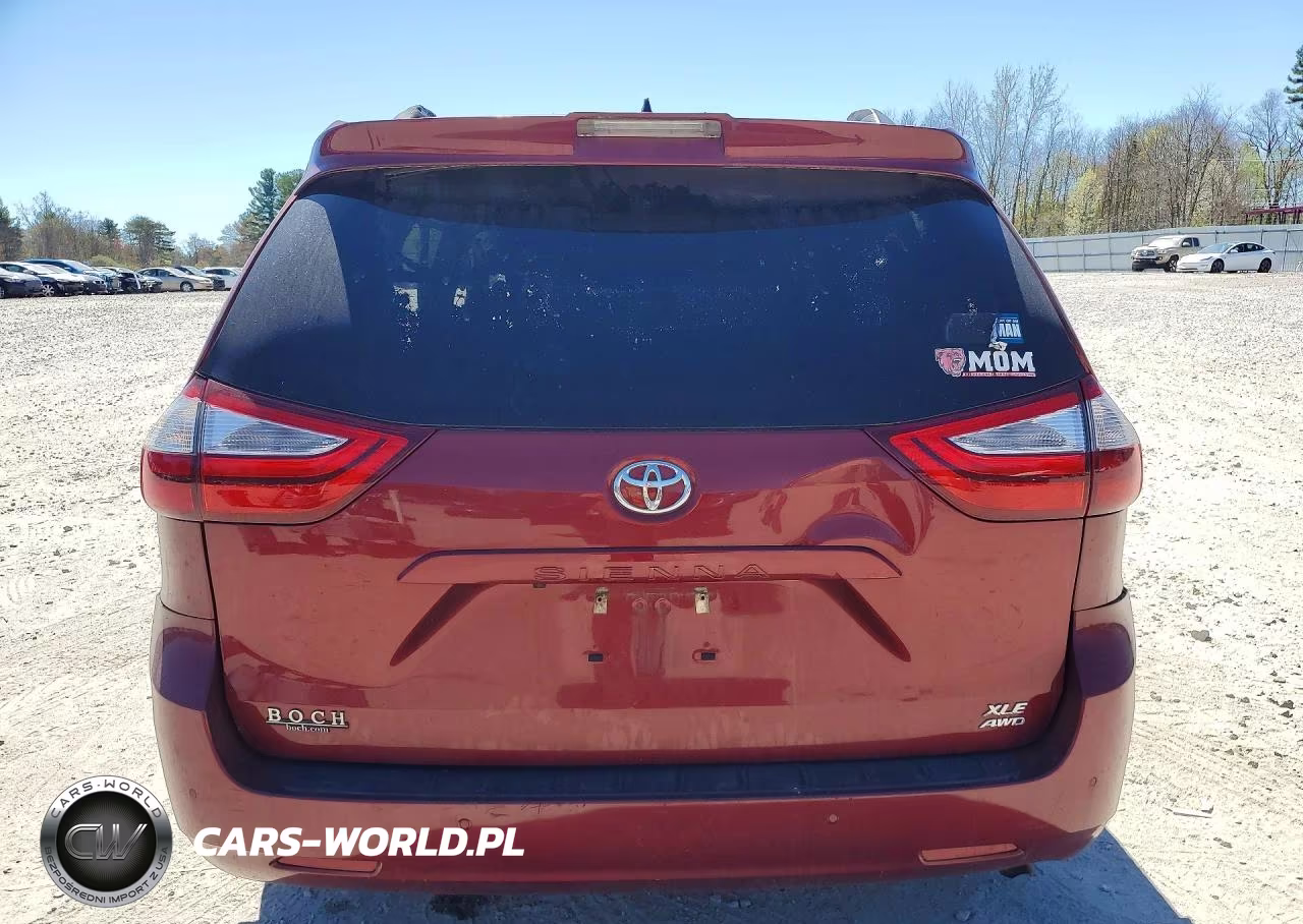 2018 Toyota Sienna Xle 7-Passenger VIN:5TDDZ3DC8JS209028 - 6