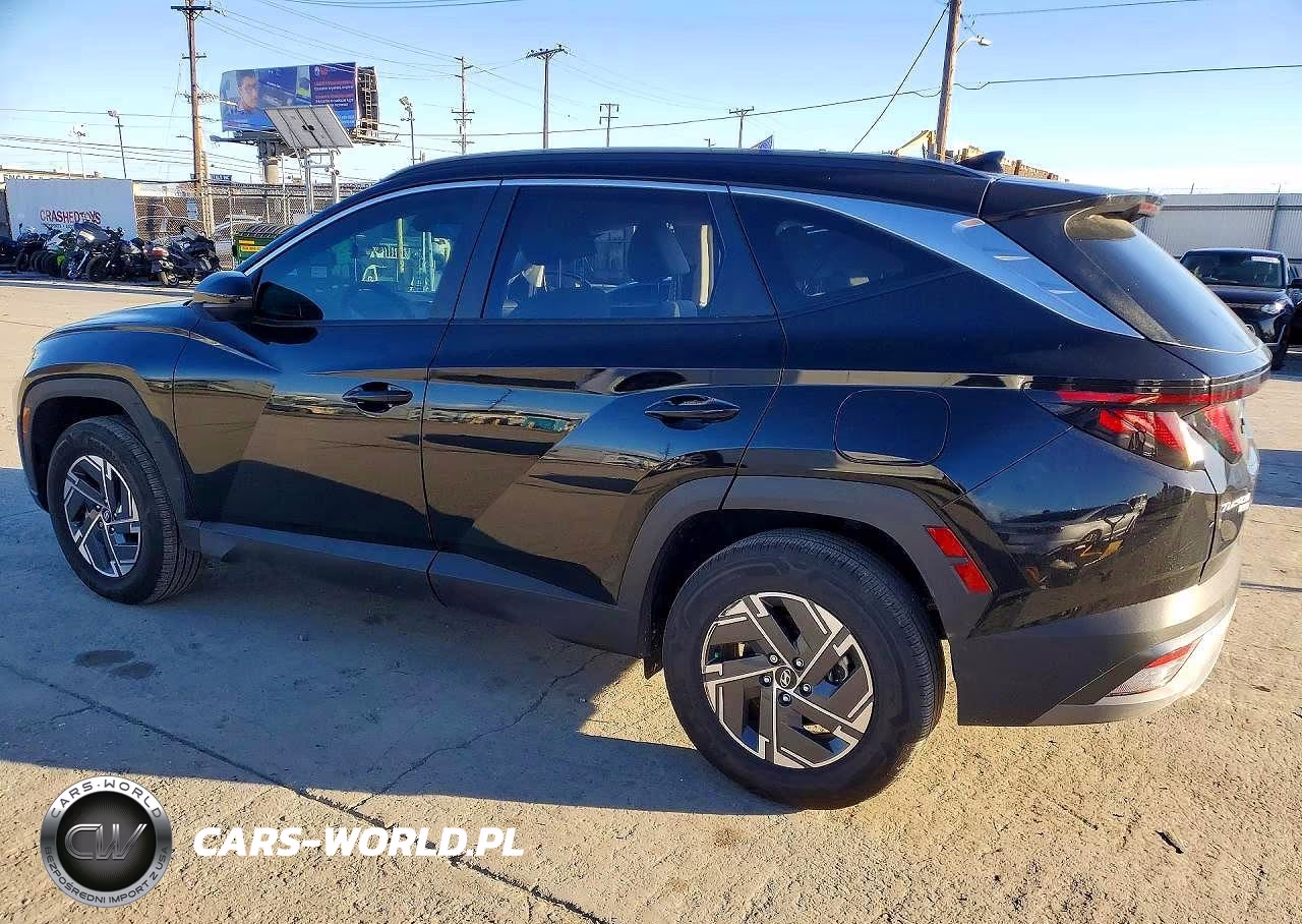 2025 Hyundai Tucson Blue VIN:KM8JBDD1XSU271941 - 2