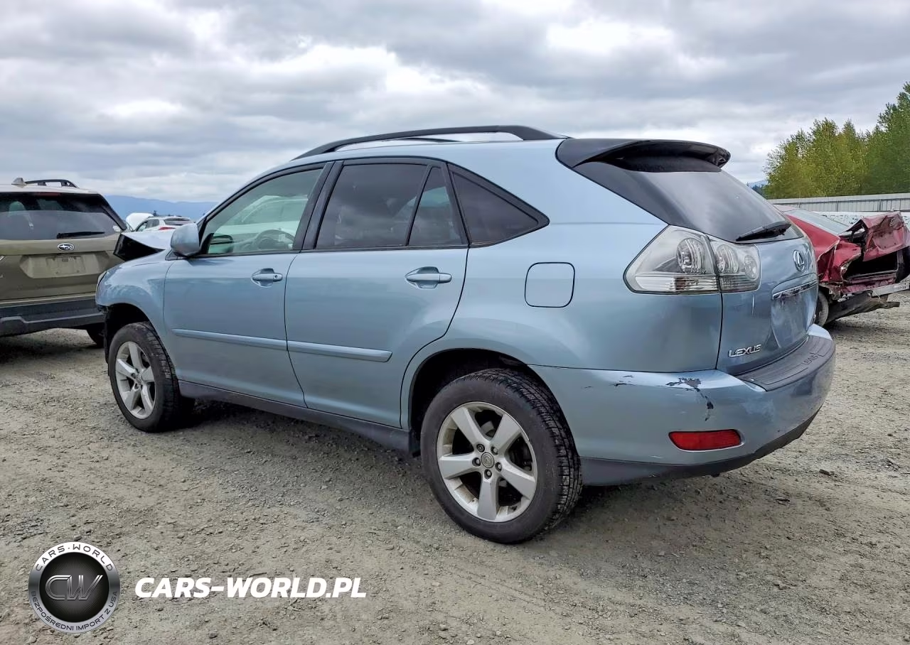 2004 Lexus Rx 330 VIN:JTJHA31U740019831 - 2