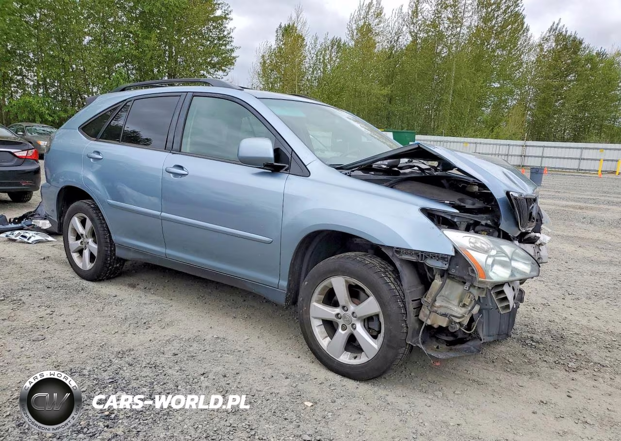 2004 Lexus Rx 330 VIN:JTJHA31U740019831 - 4
