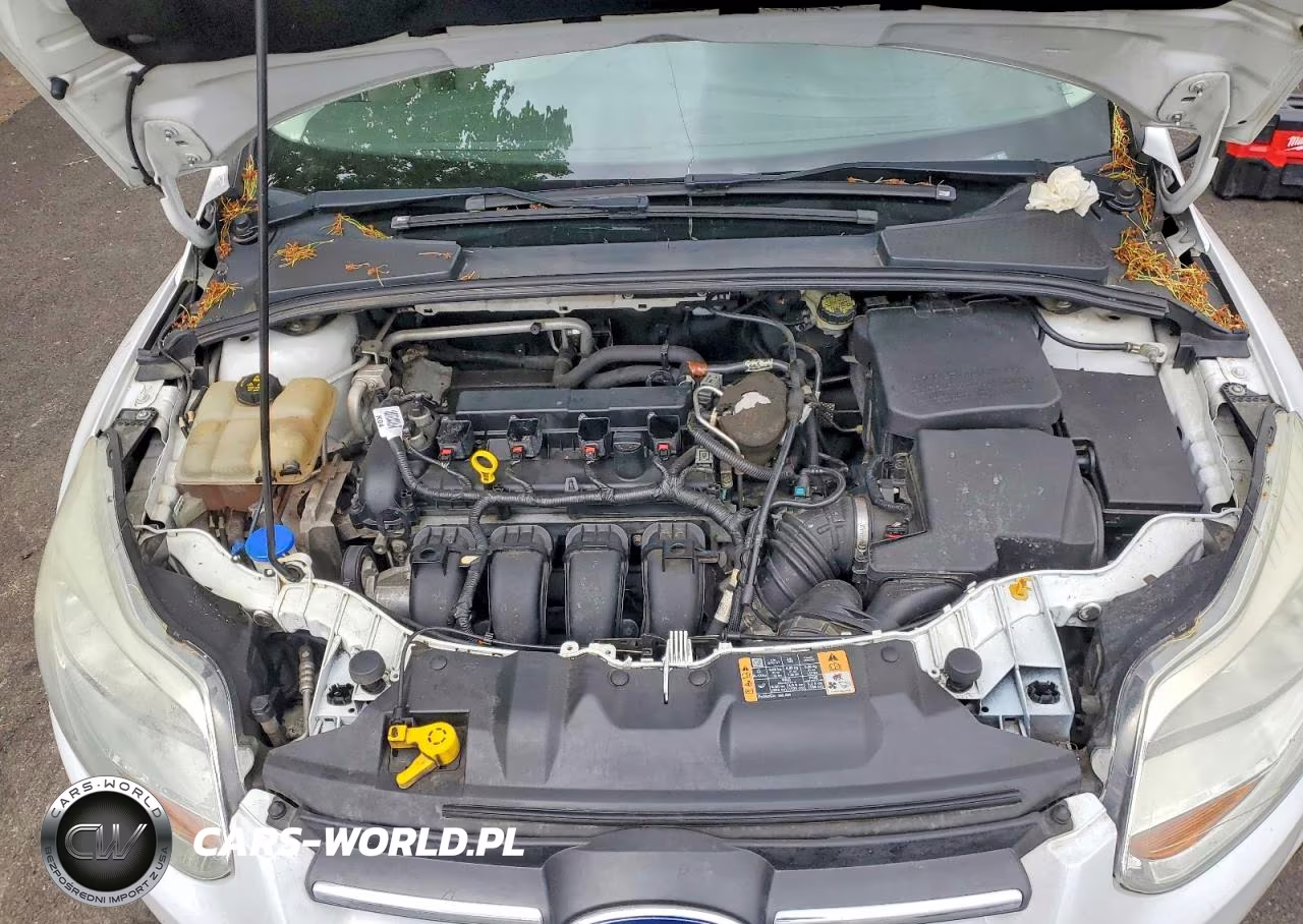2014 Ford Focus Se VIN:1FADP3K27EL408441 - 11