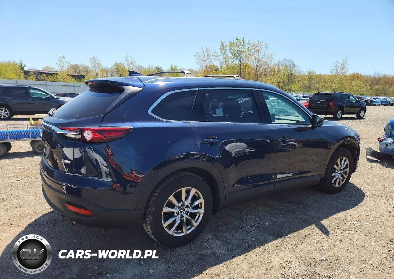 2019 Mazda Cx-9 Touring VIN:JM3TCBCY7K0336272 - 3