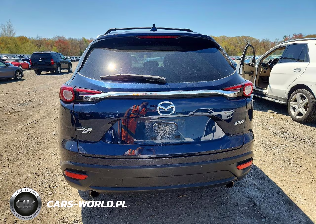 2019 Mazda Cx-9 Touring VIN:JM3TCBCY7K0336272 - 6