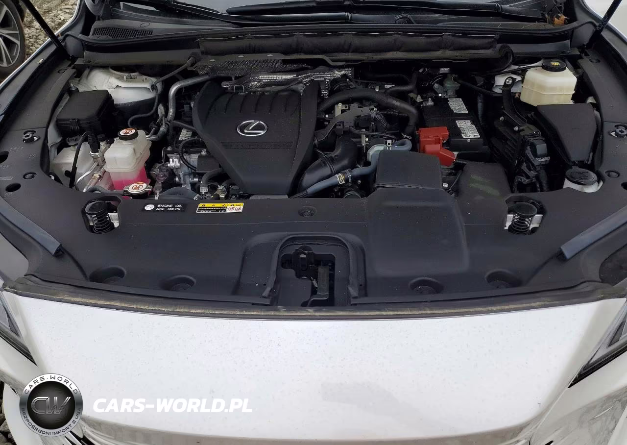 2024 Lexus Rx 350 Luxury VIN:2T2BAMCAXRC053157 - 12