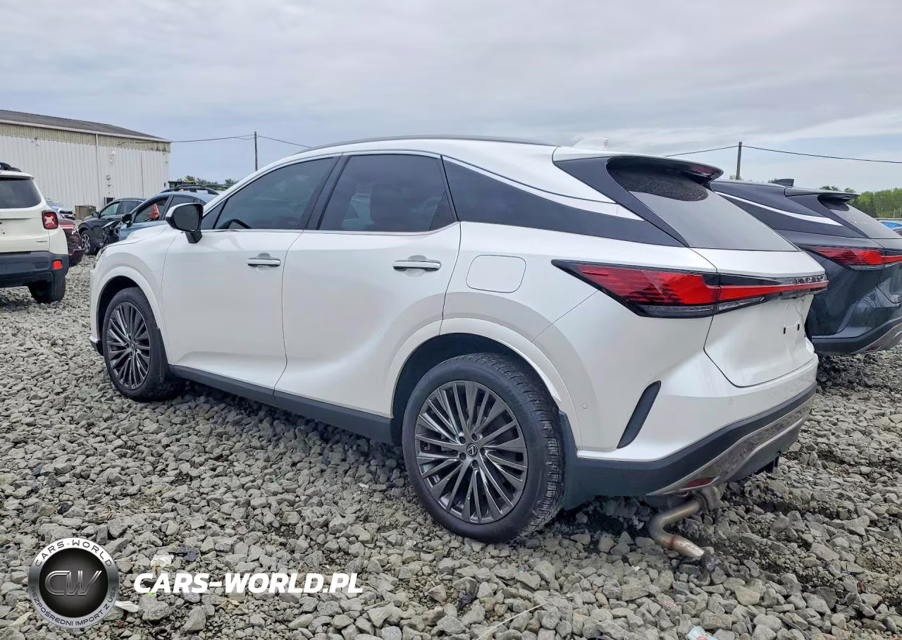 2024 Lexus Rx 350 Luxury VIN:2T2BAMCAXRC053157 - 2