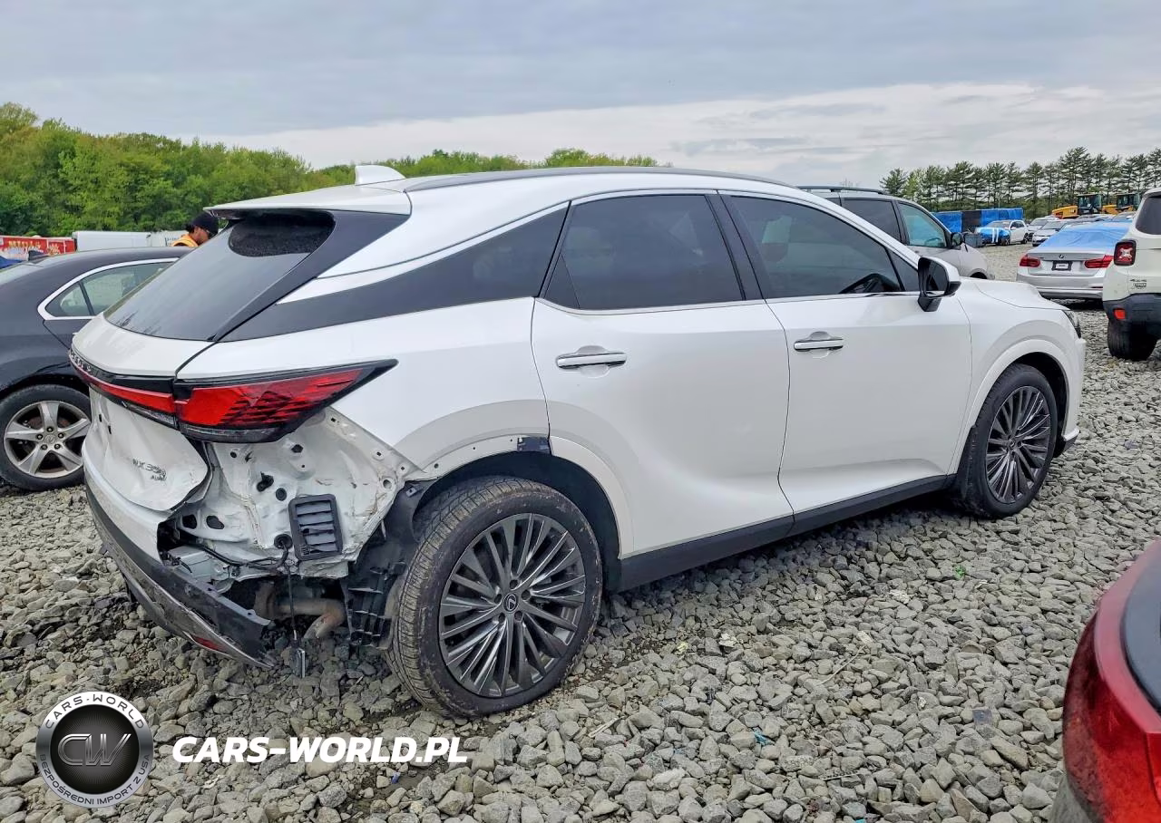 2024 Lexus Rx 350 Luxury VIN:2T2BAMCAXRC053157 - 3