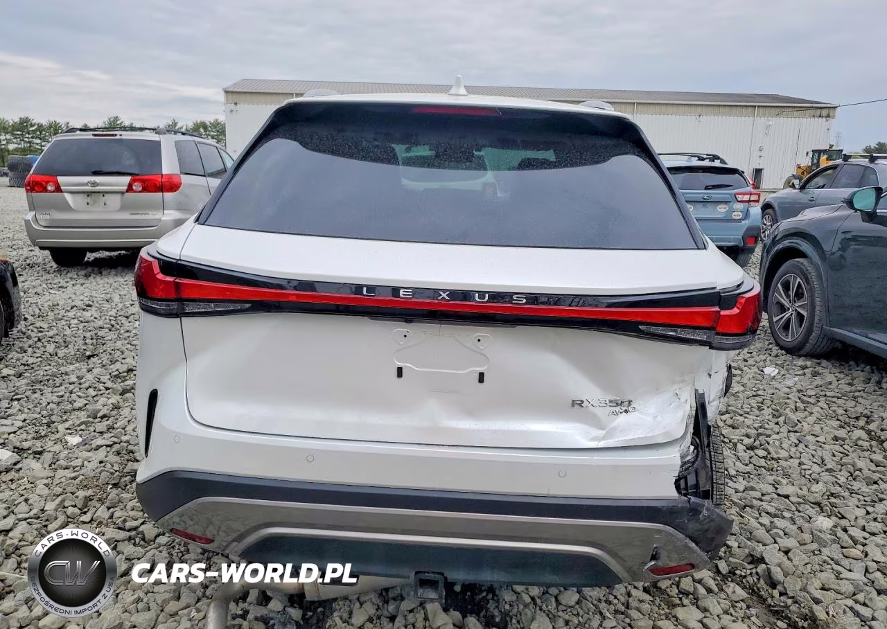 2024 Lexus Rx 350 Luxury VIN:2T2BAMCAXRC053157 - 6