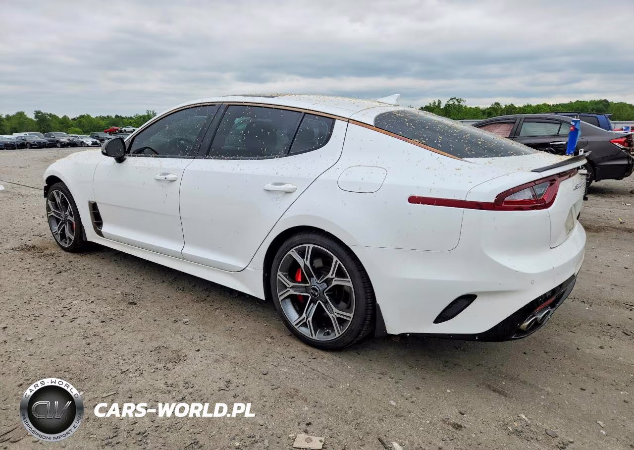 2019 Kia Stinger Gt1 VIN:KNAE45LC1K6059679 - 2
