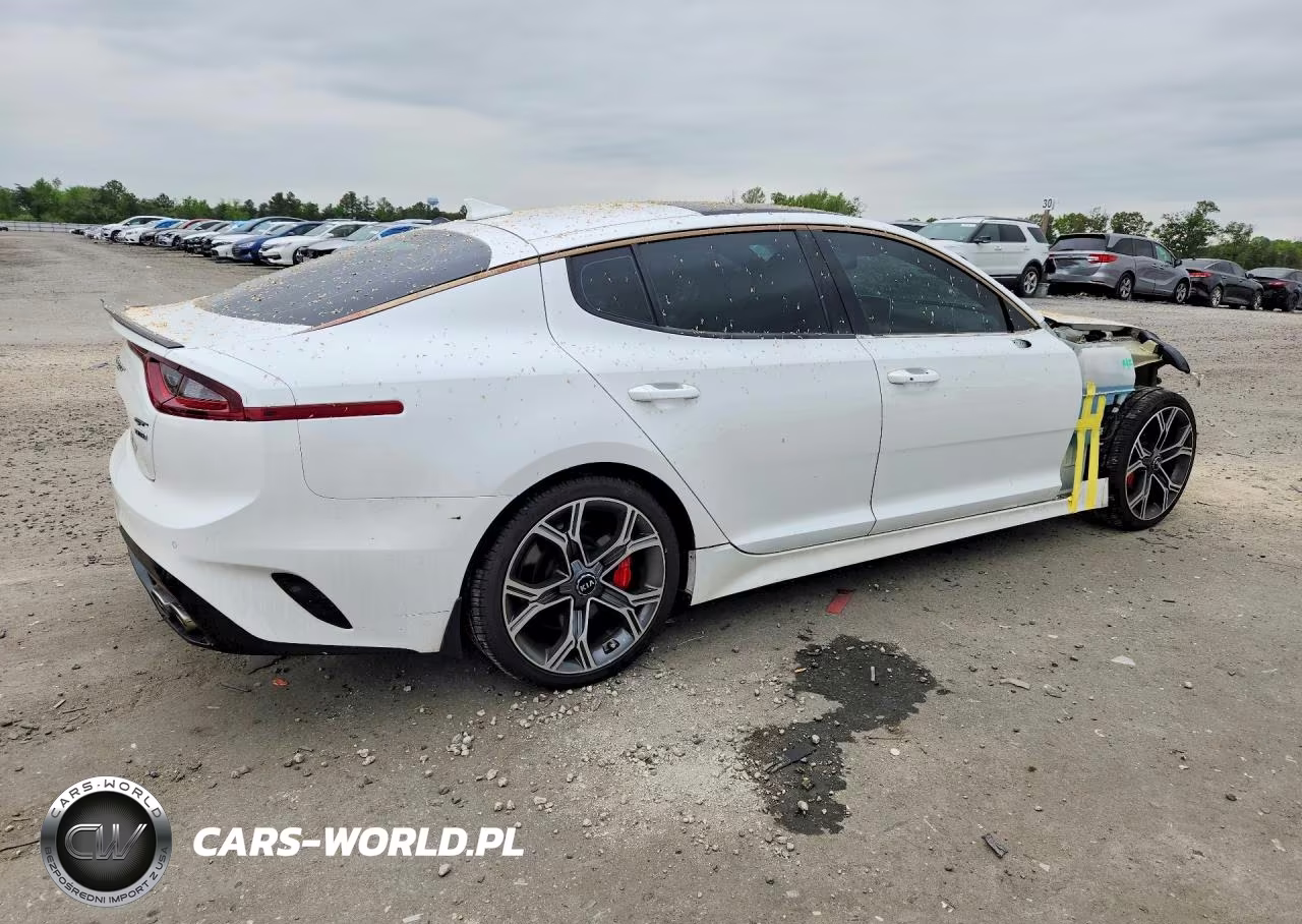 2019 Kia Stinger Gt1 VIN:KNAE45LC1K6059679 - 3